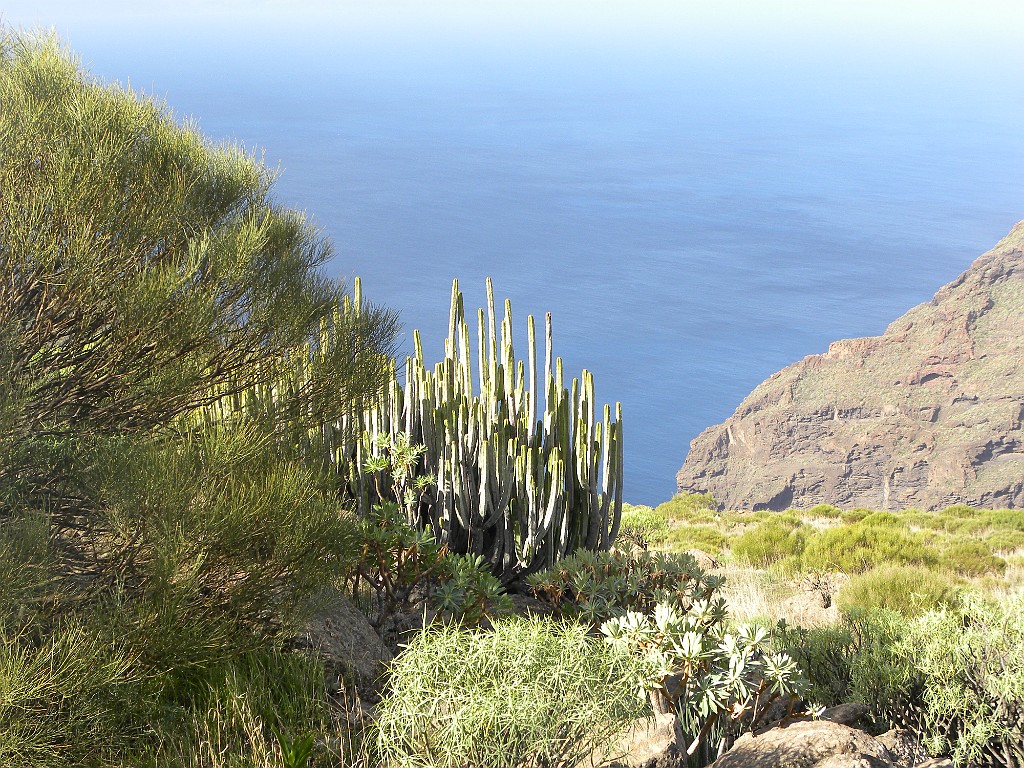 Teneriffa 2010 (11)